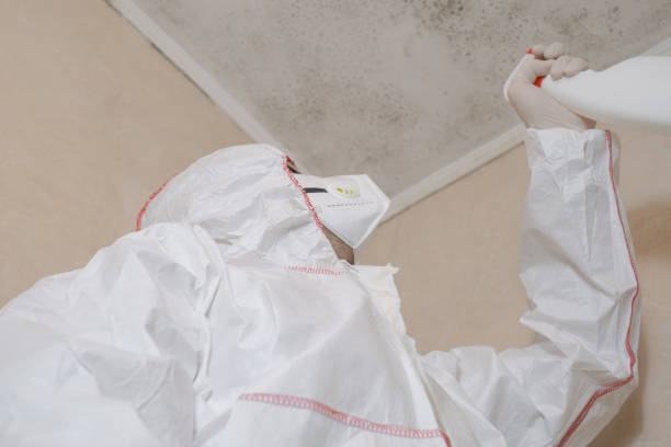 Best Commercial Mold Inspection  in Guerneville, CA