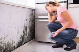 Best Mold Removal for HVAC Installations  in Guerneville, CA